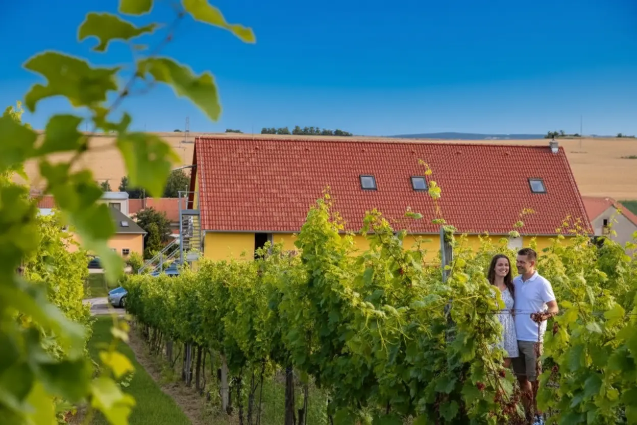 Chcete zažít klidný pobyt mezi vinicemi